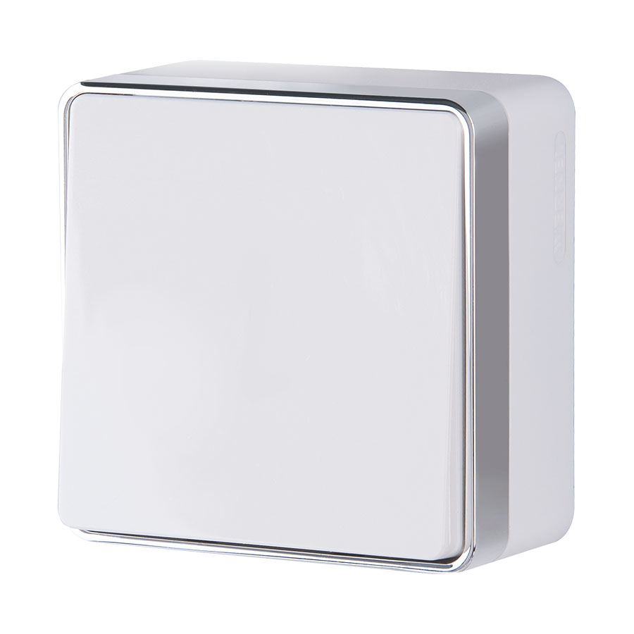 Выключатель одноклавишный проходной Gallant белый W5012001