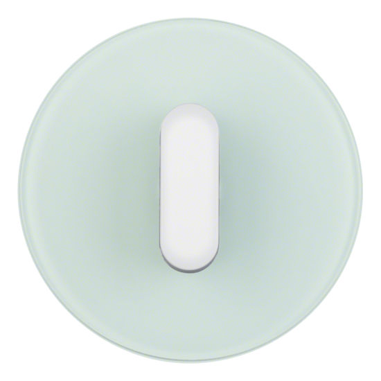 Накладка на поворотный выключатель Berker R.CLASSIC, полярная белизна, 1001208300