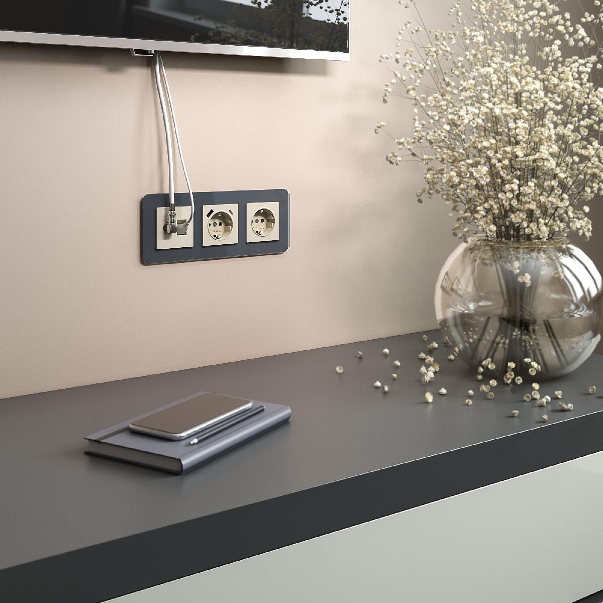 Розетка ТВ+Ethernet RJ-45 6 cat. слоновая кость W1181303